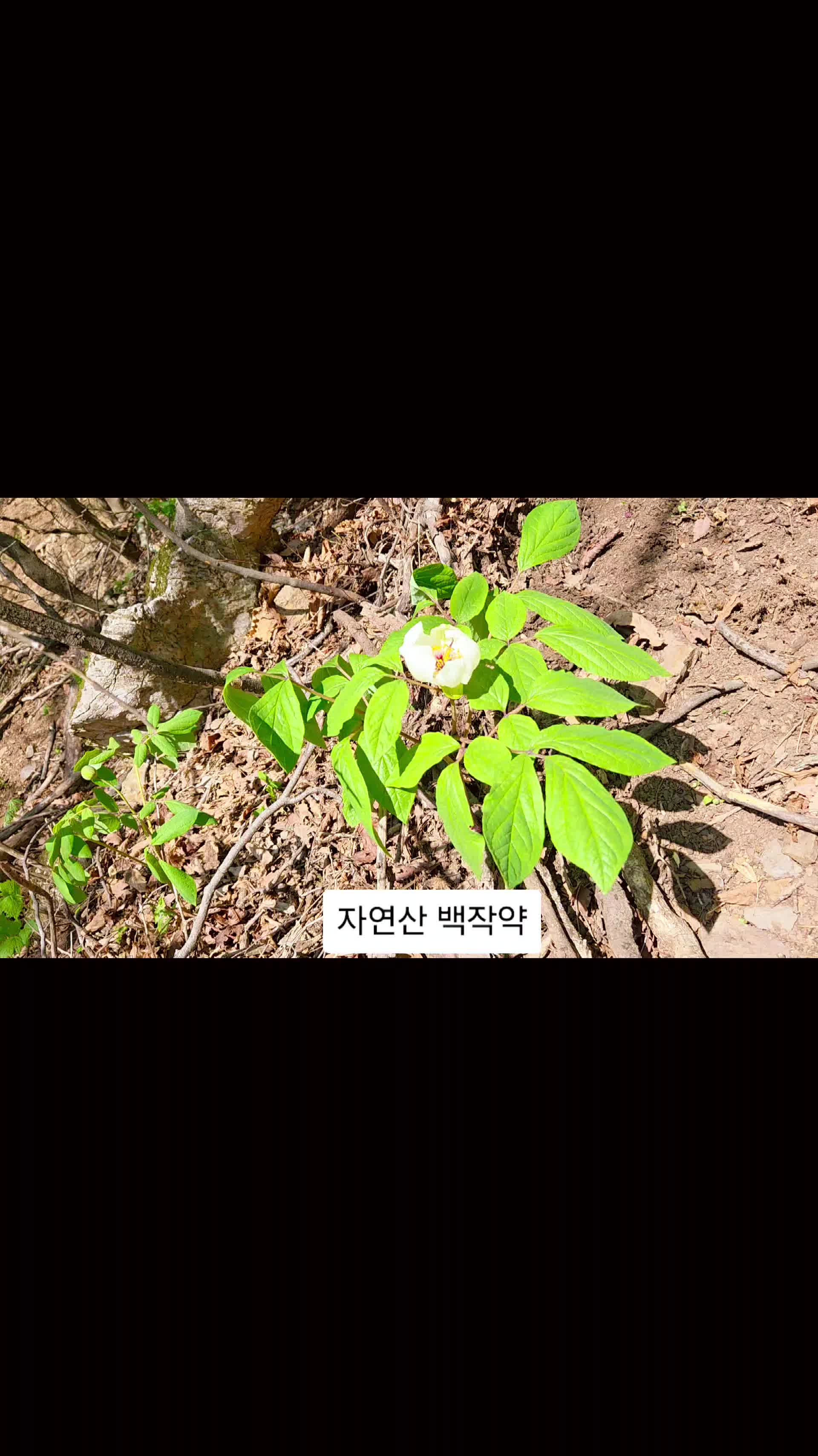 @법무사