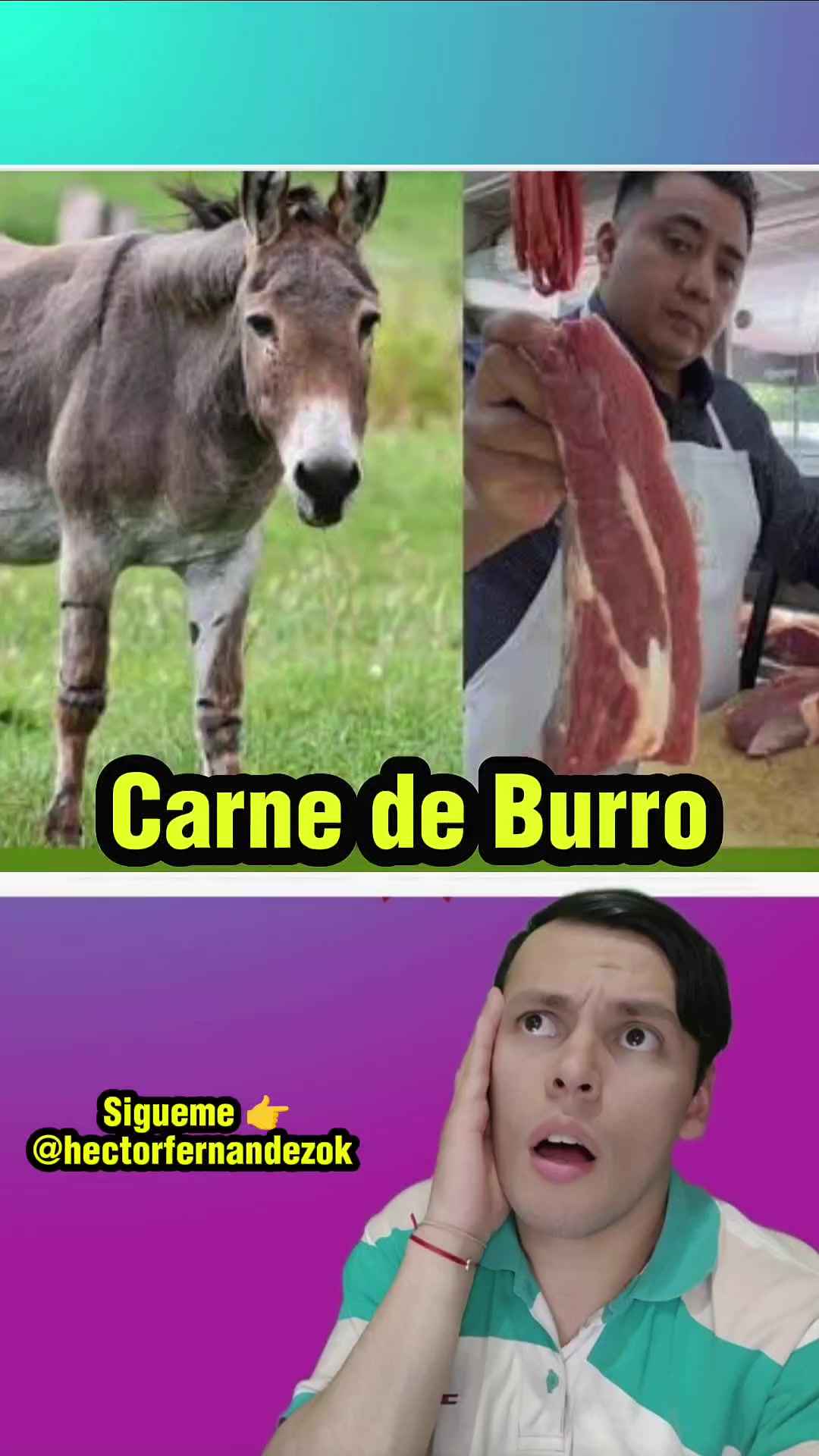 @Hector Fernandez🧉🐰🫶🐈⬛