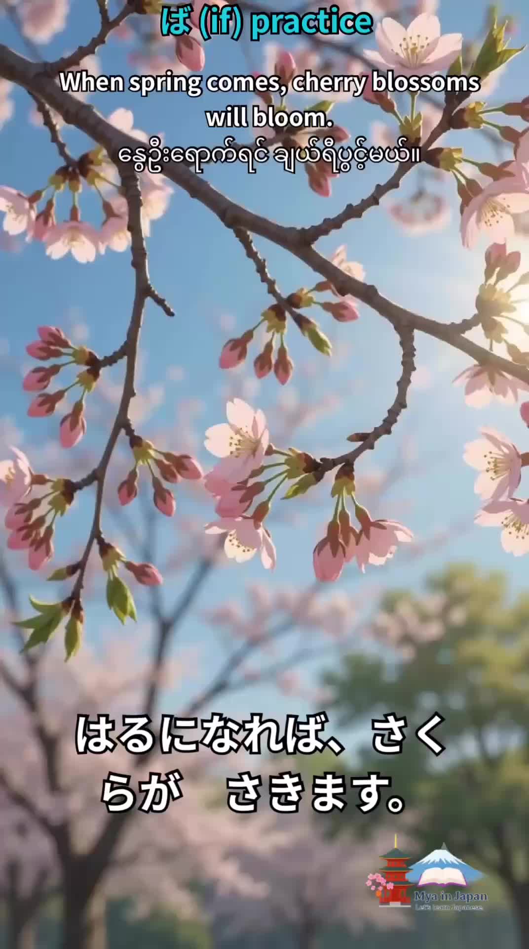 @Mya in Japan