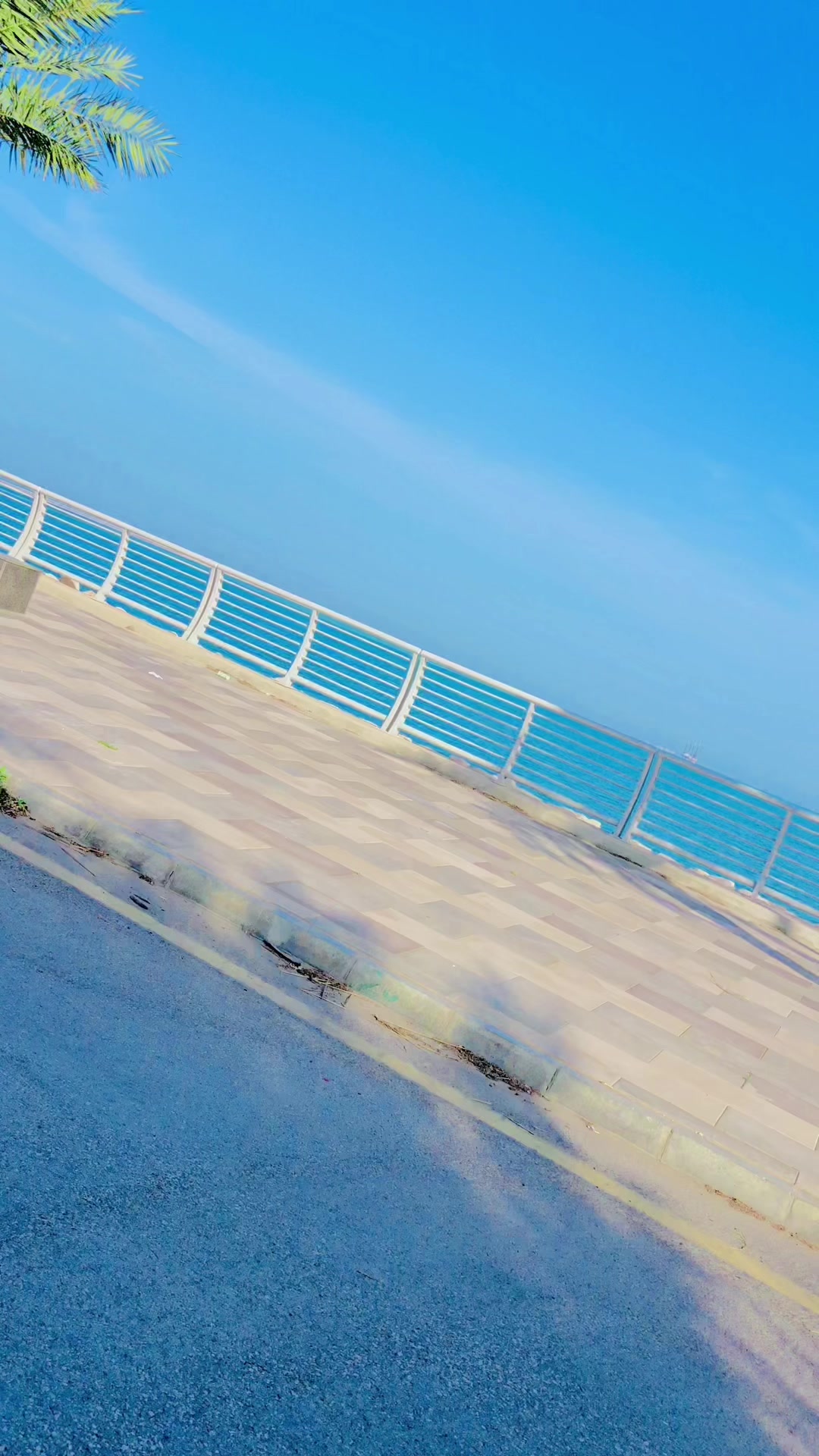 @❤️ Naich ملک اویس