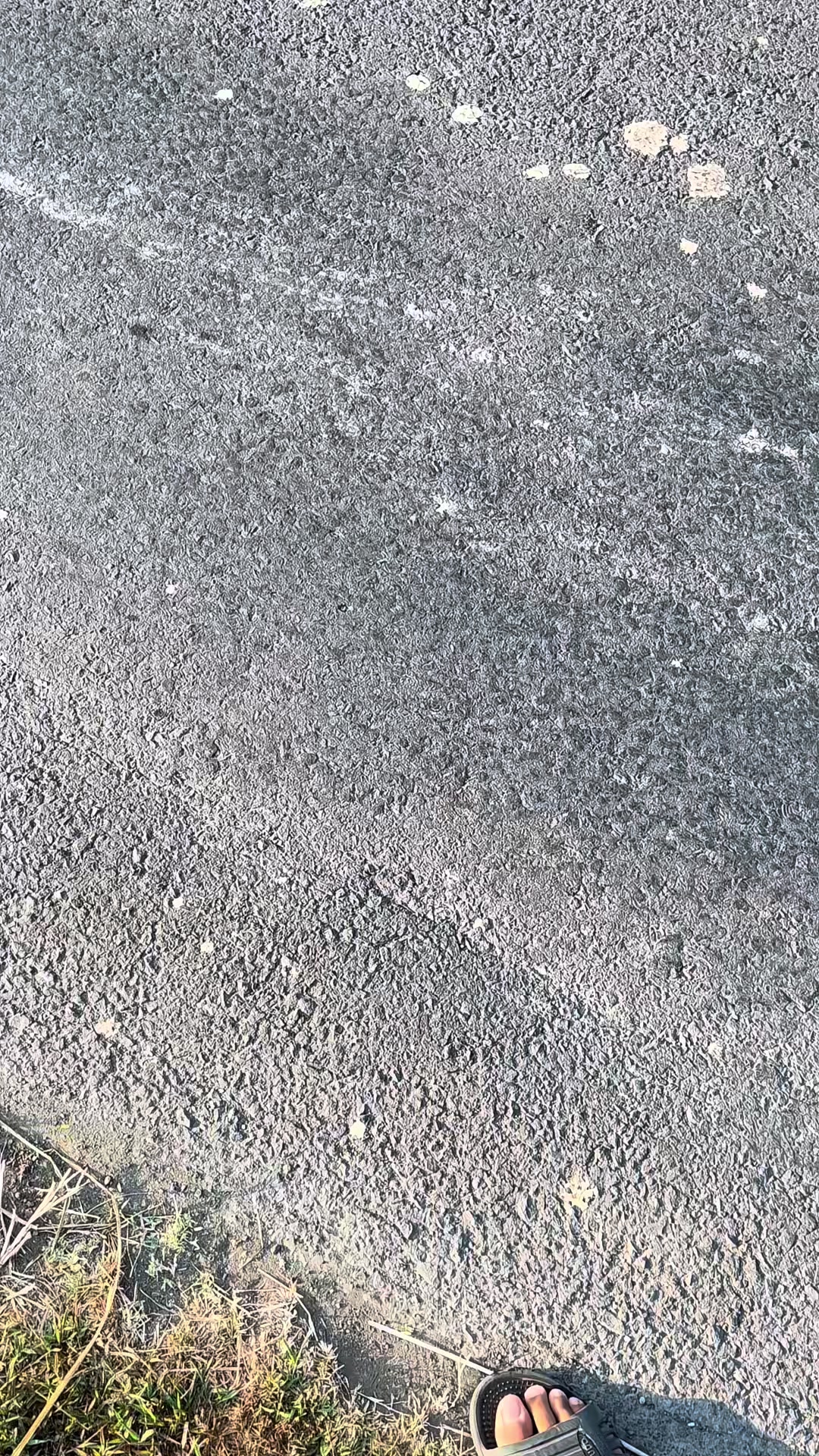 @Sebutajadava🤙🏻