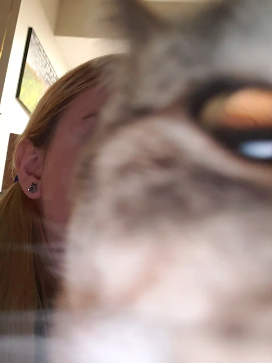 @(Cam)e(Ron)