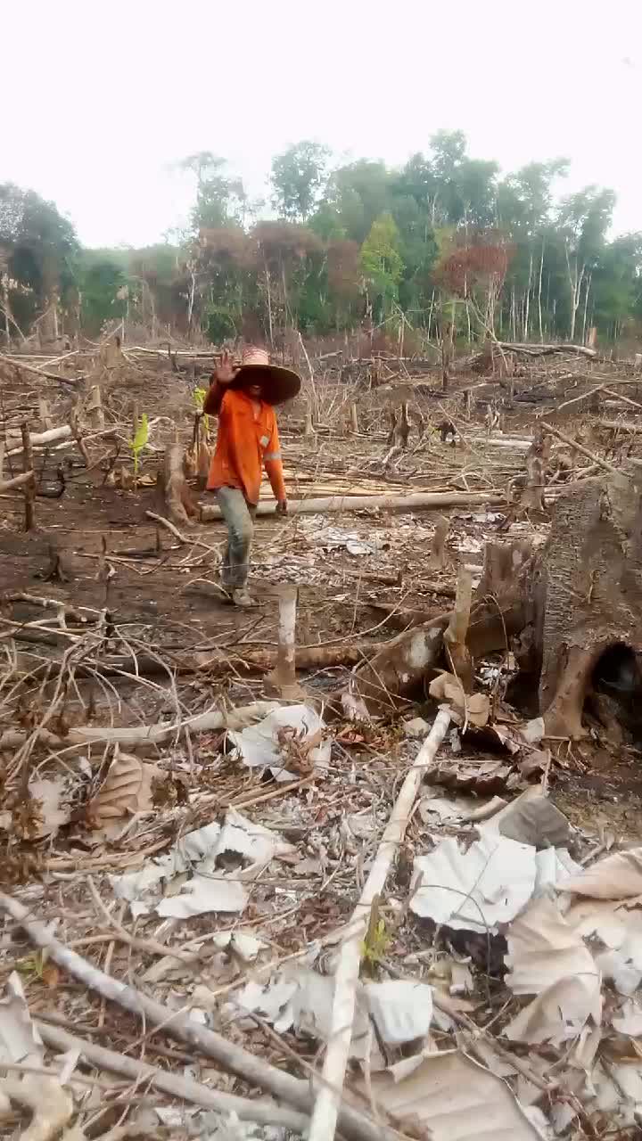 @SURYA TANI