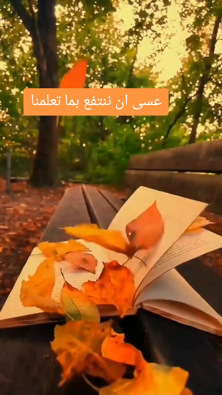 @Alhouda