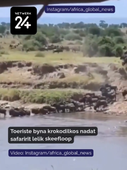 @Netwerk24