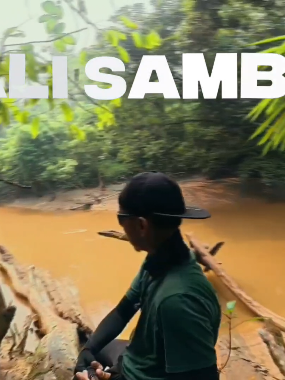 @Damz Strike Fishing