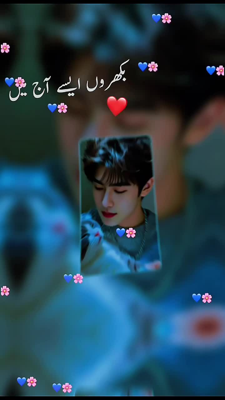 @꧁ ✅🎀 A L O M 🦋🎀🎁🎆꧂