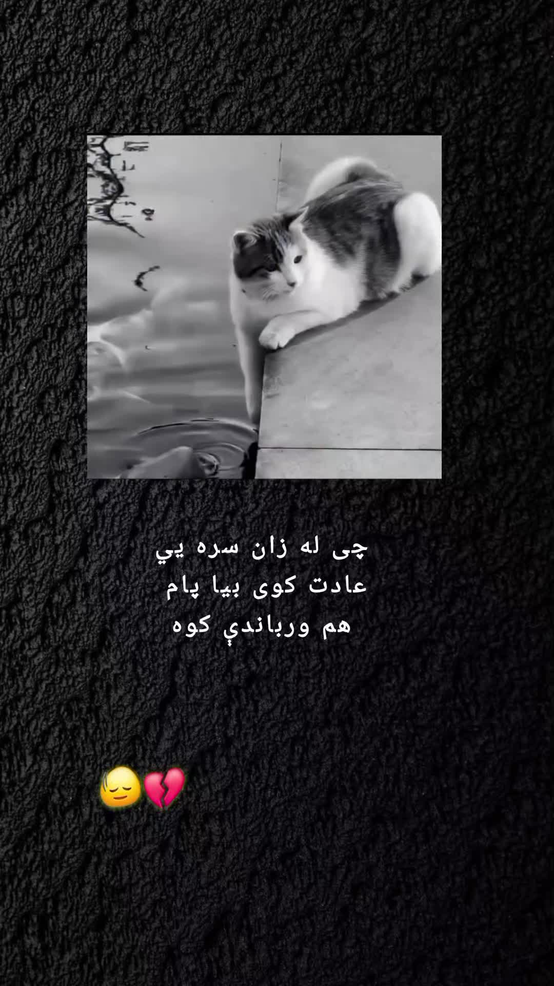 @رهــ🦢ــبر ◡̈⃝🖤