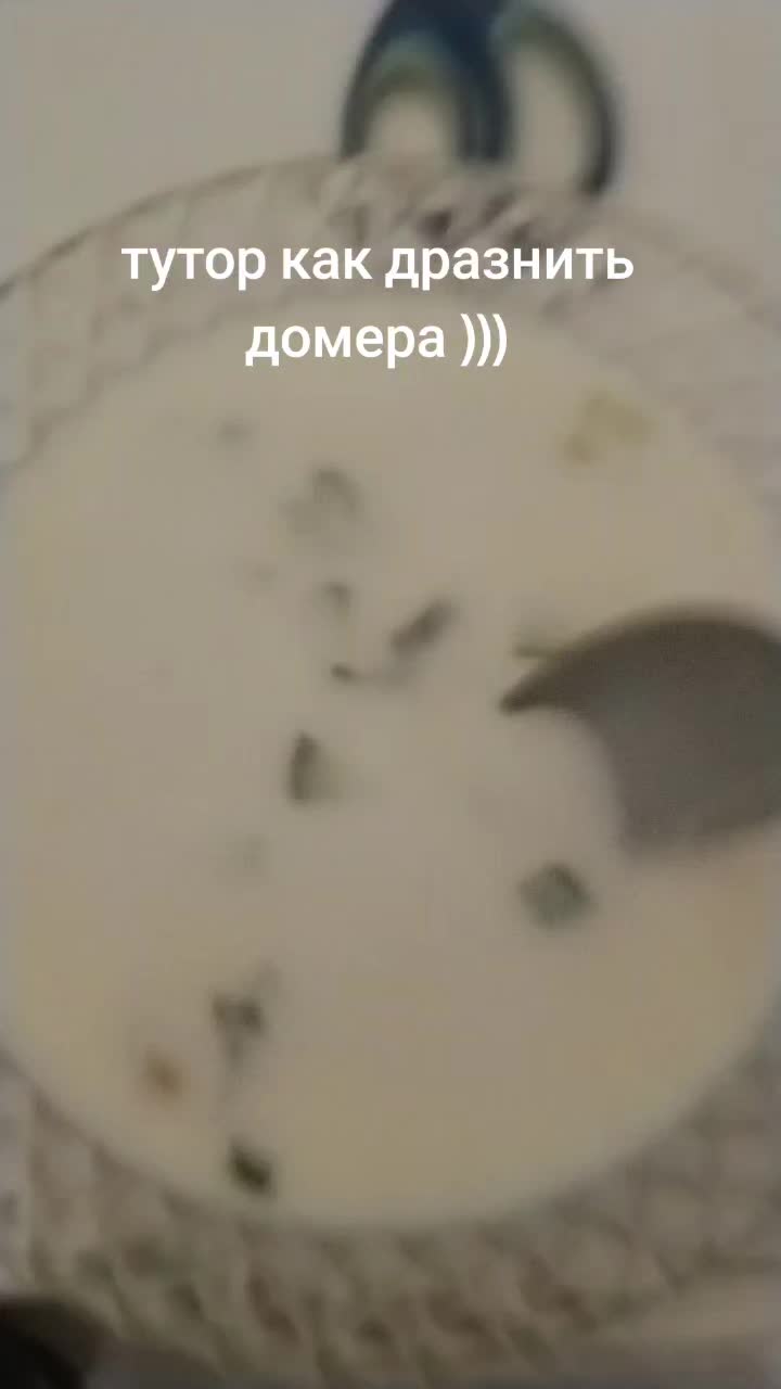 @DEDRYss