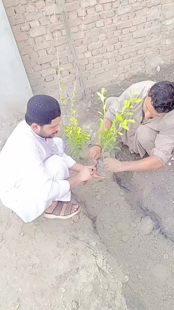 @Babar Ali