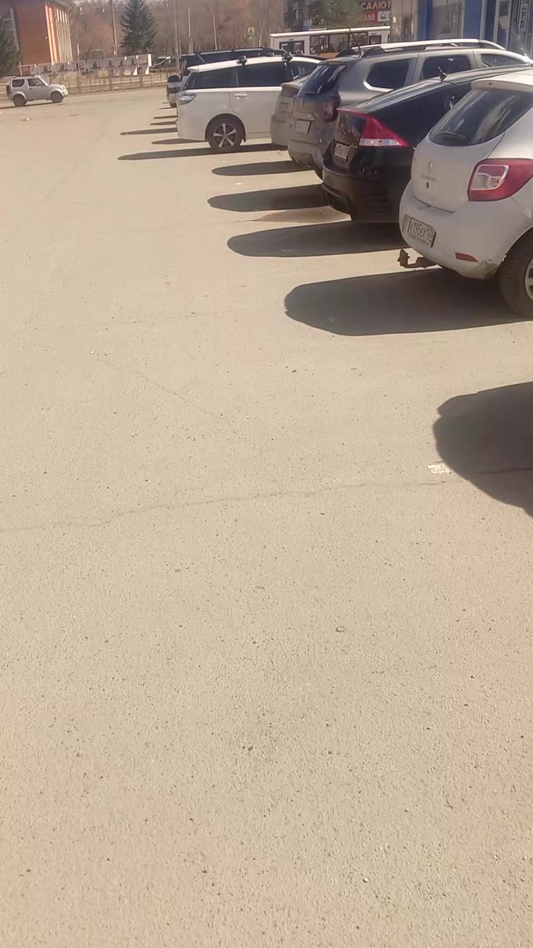 @сибиряк 38🇷🇺