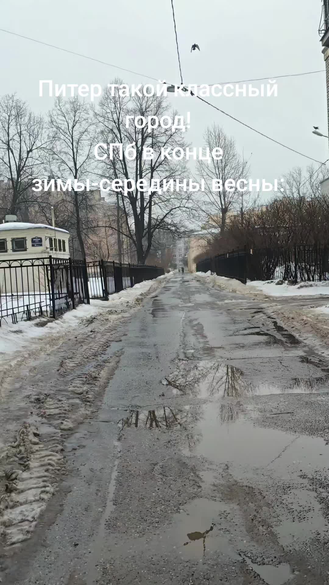 @дом кота🍎🎹