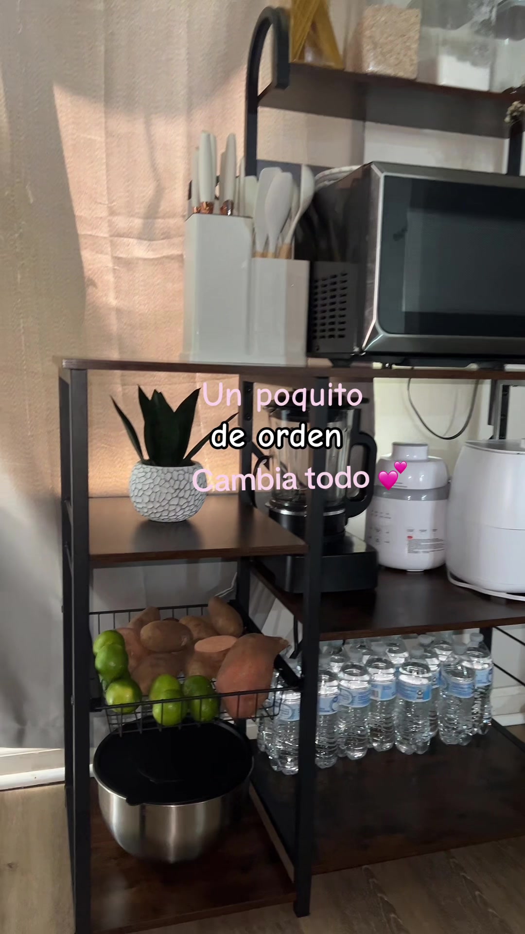 @Reina