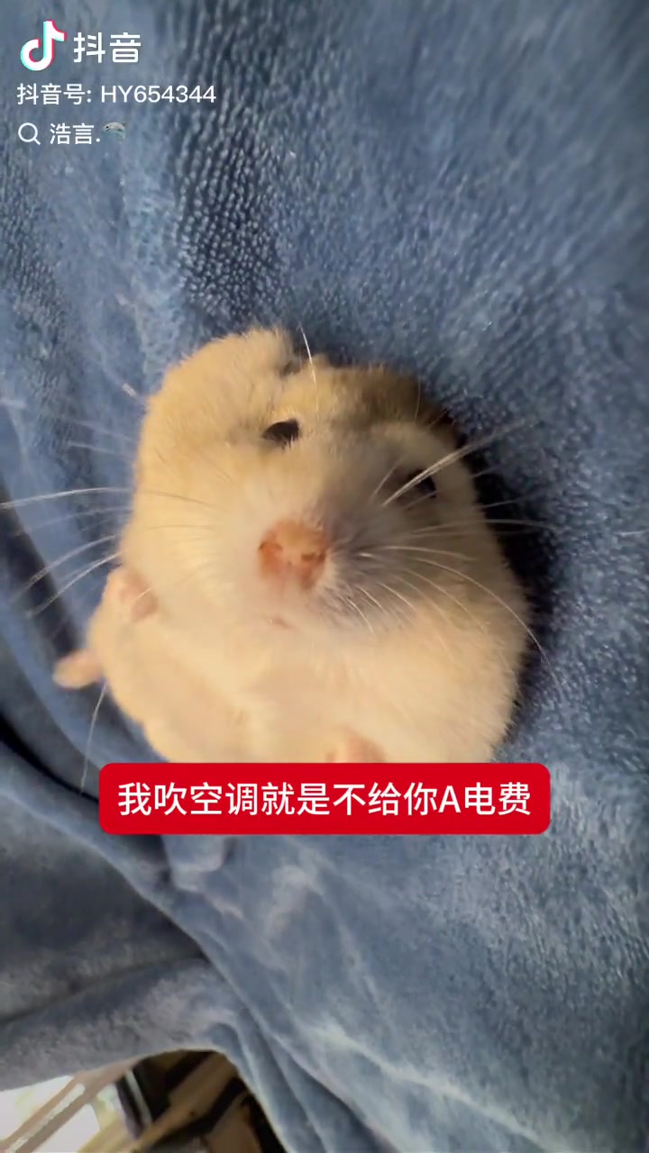 @岩電電
