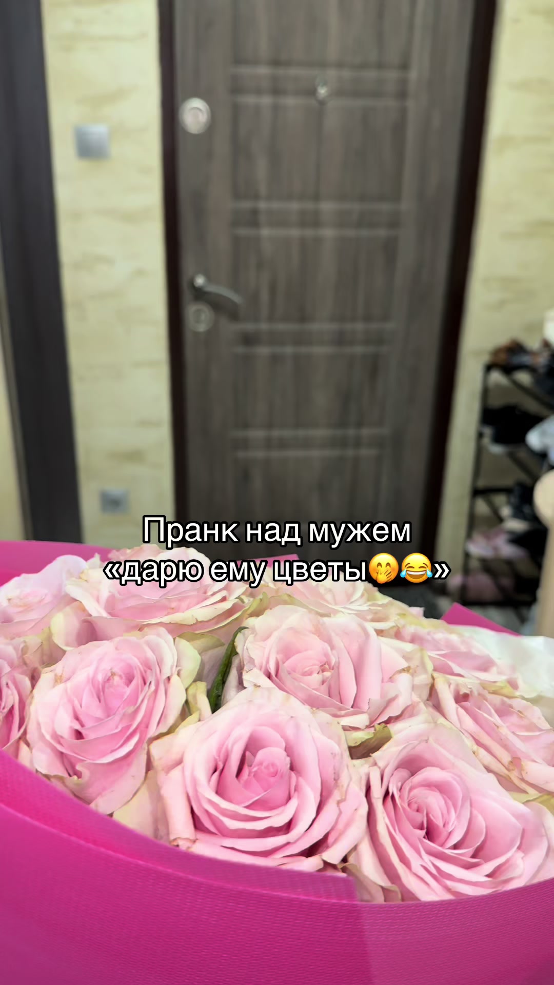 @ok_shevchikii