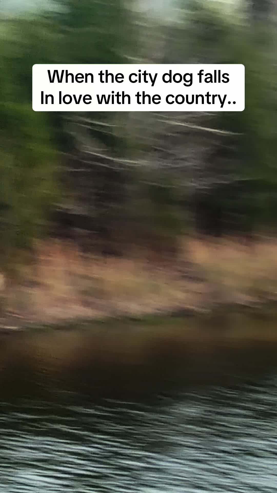@AddictChick