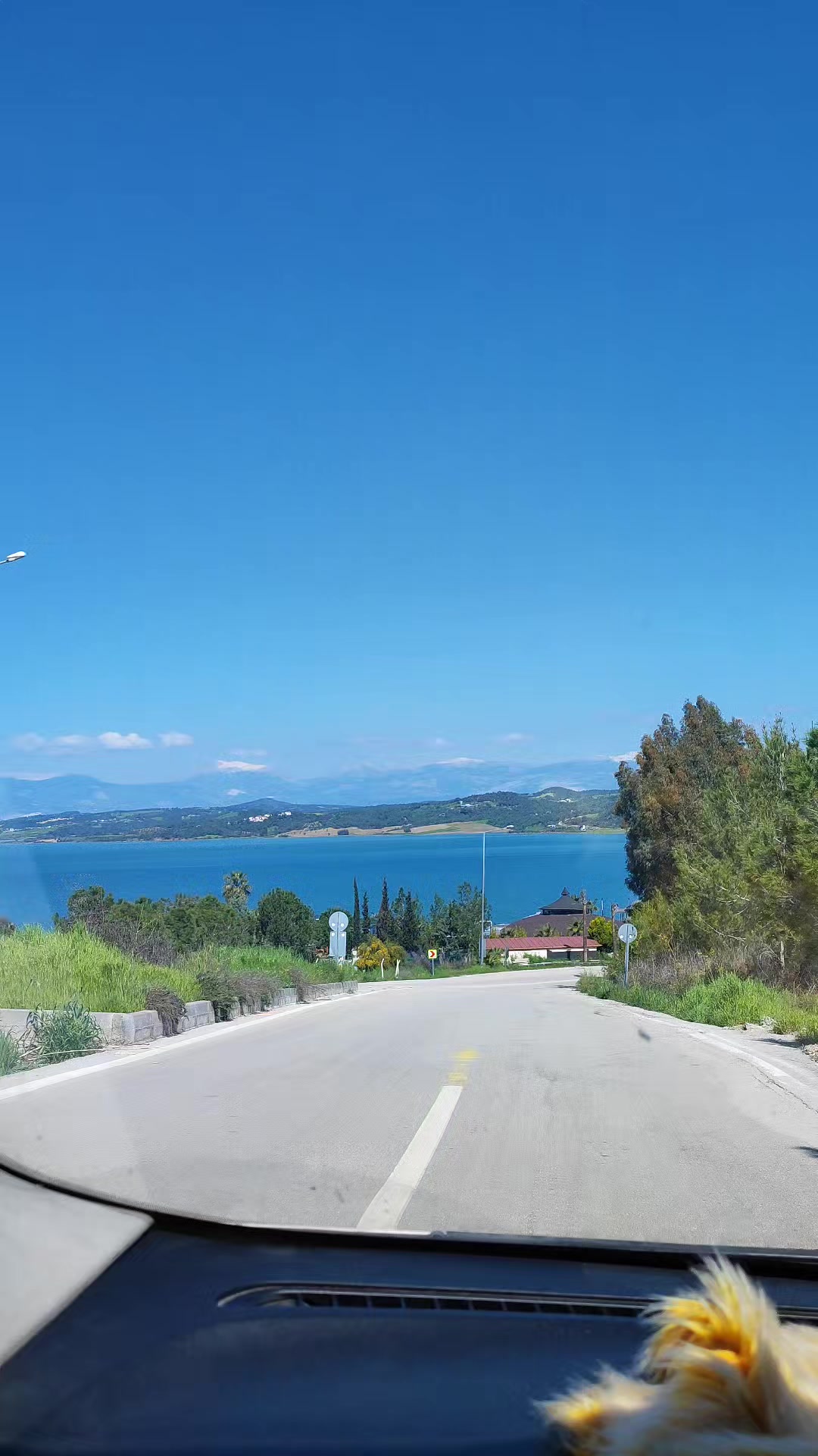 @احمد بكران 515