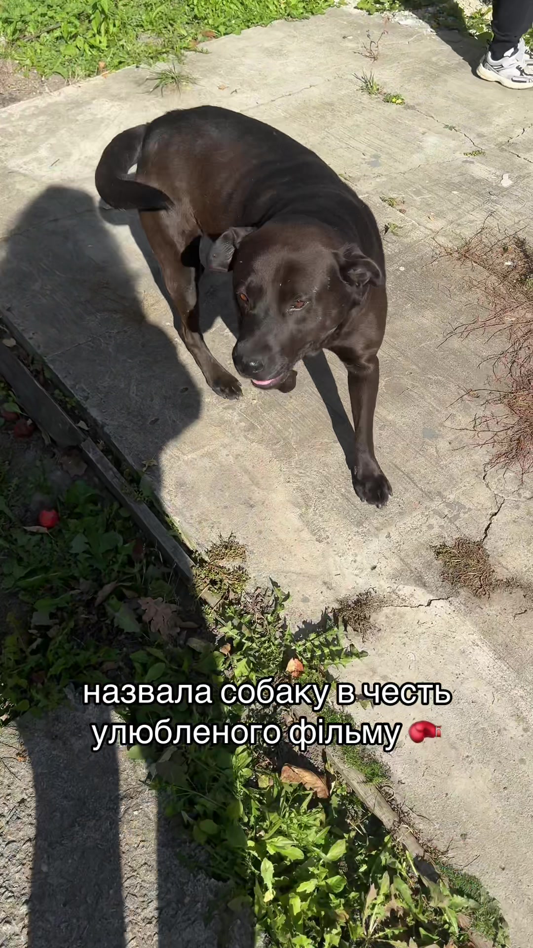 @TULIEVA