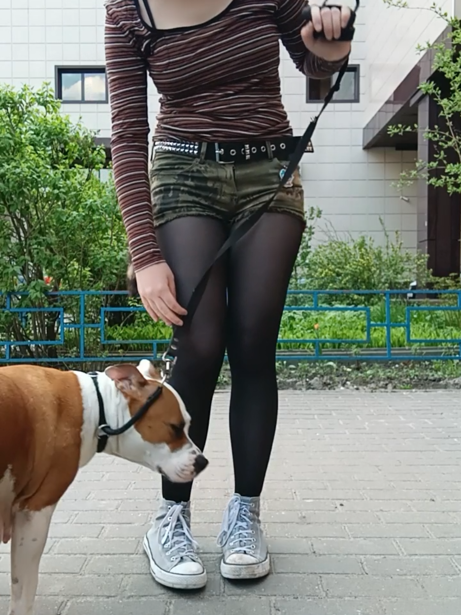 @Kenkow [🍆🍅🪴]
