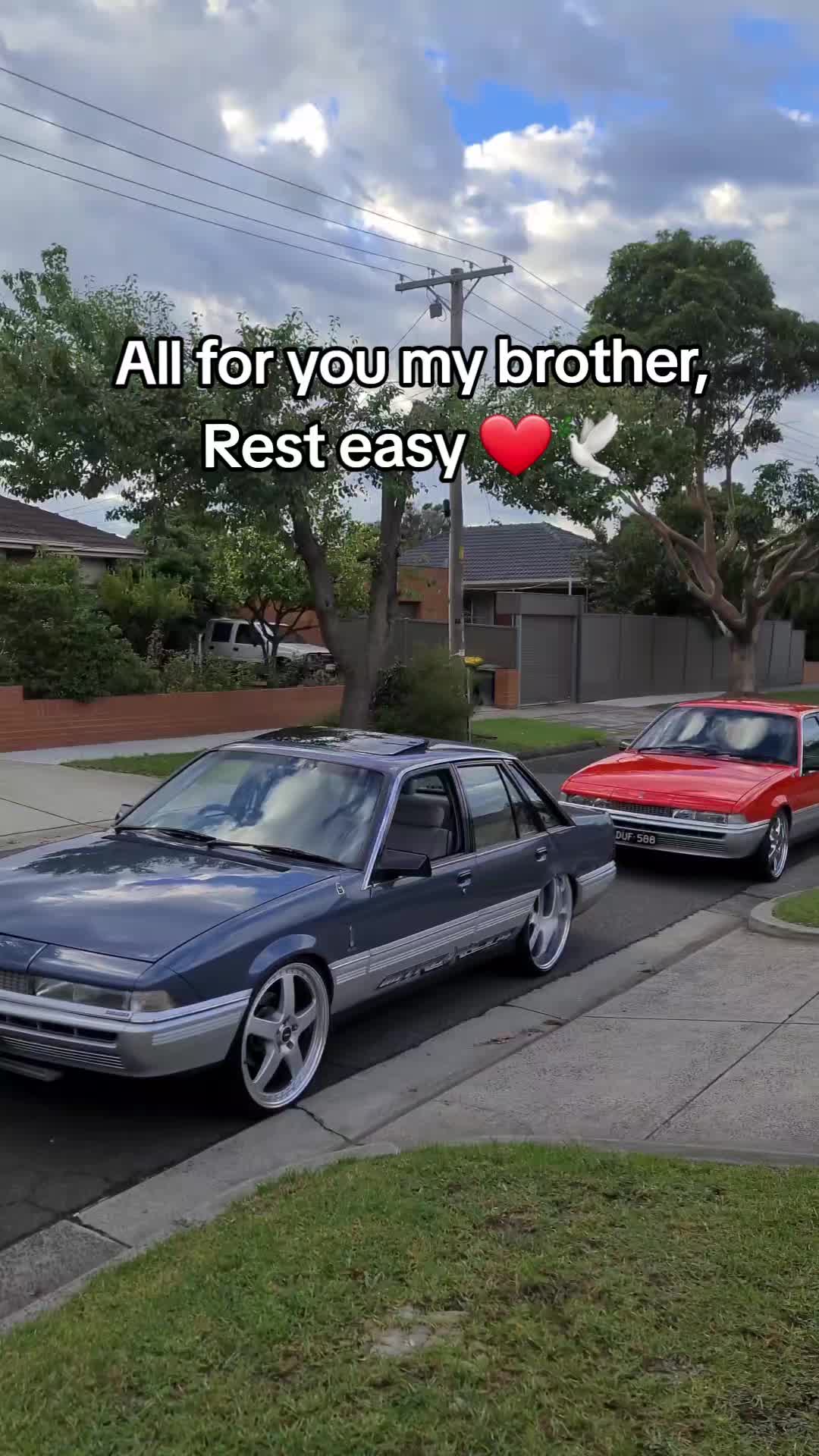 @cetin.vlt