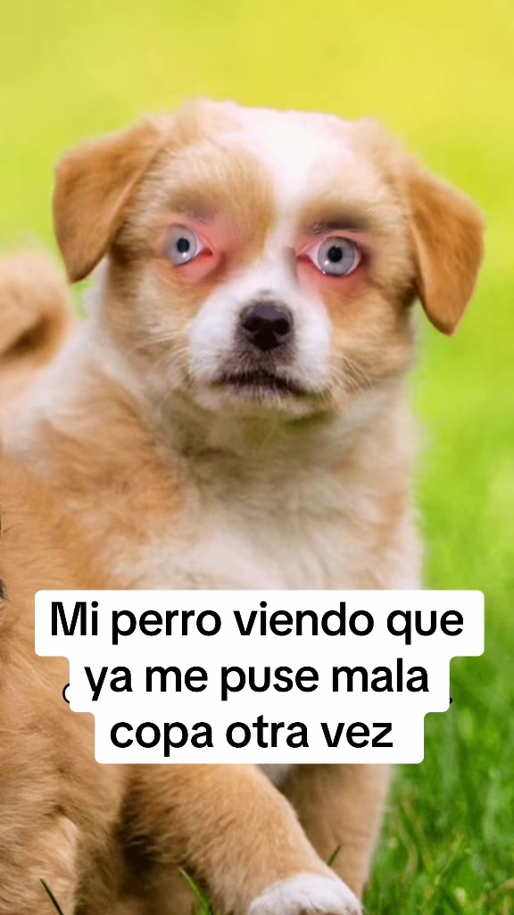 @Jesus Arizmendi