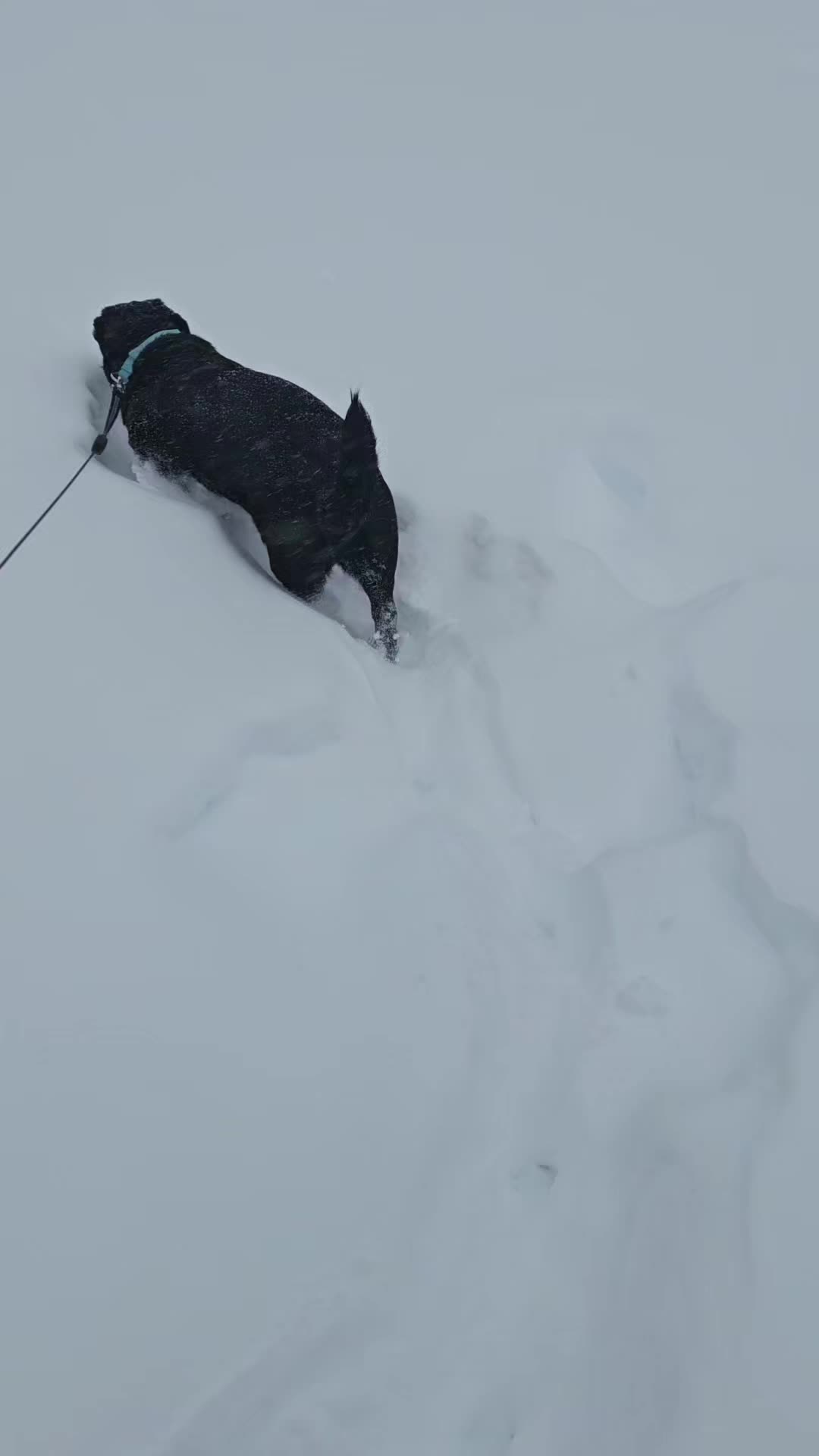@Jeannette Baker