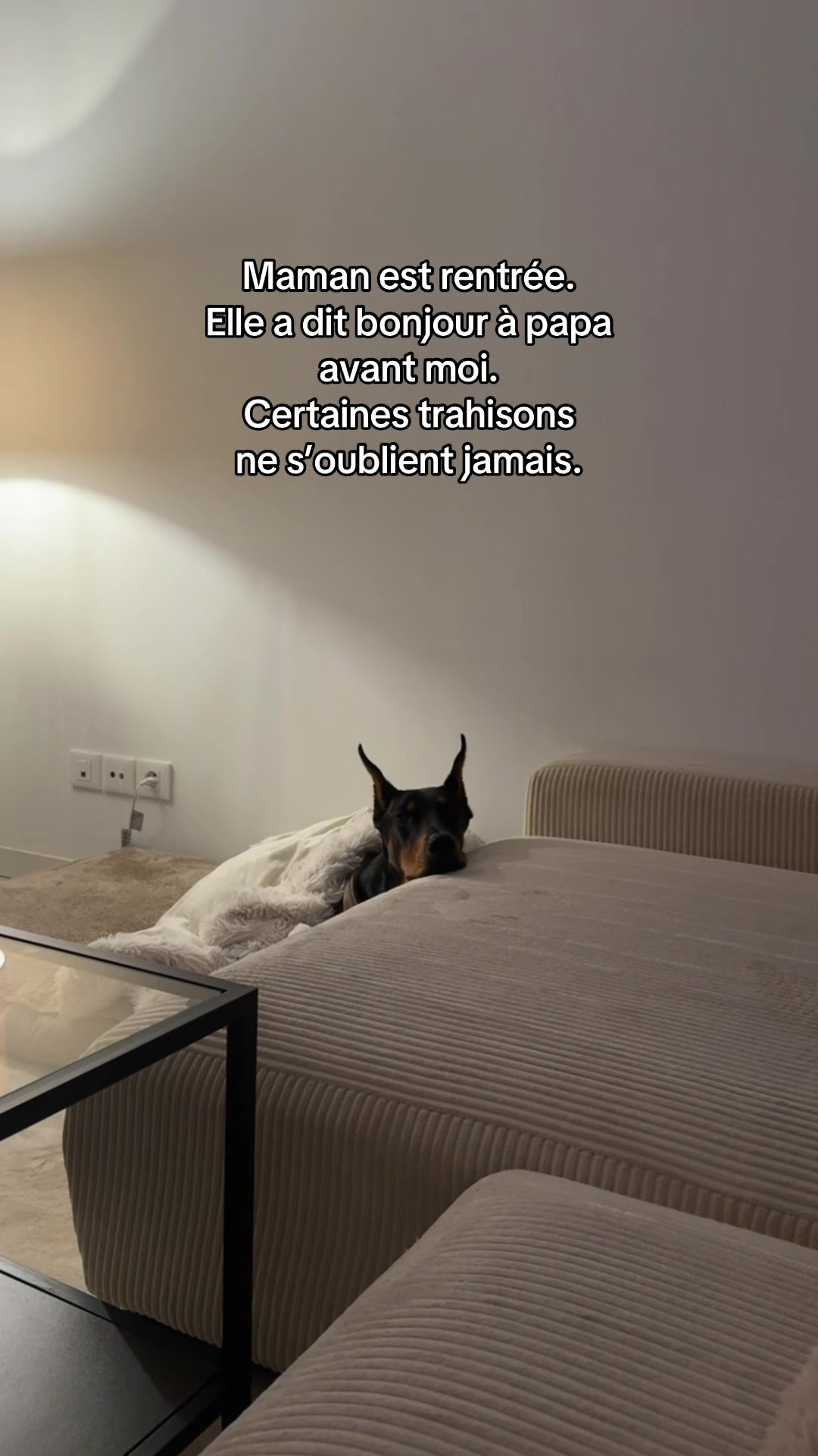@Ar&egrave;s 🐶