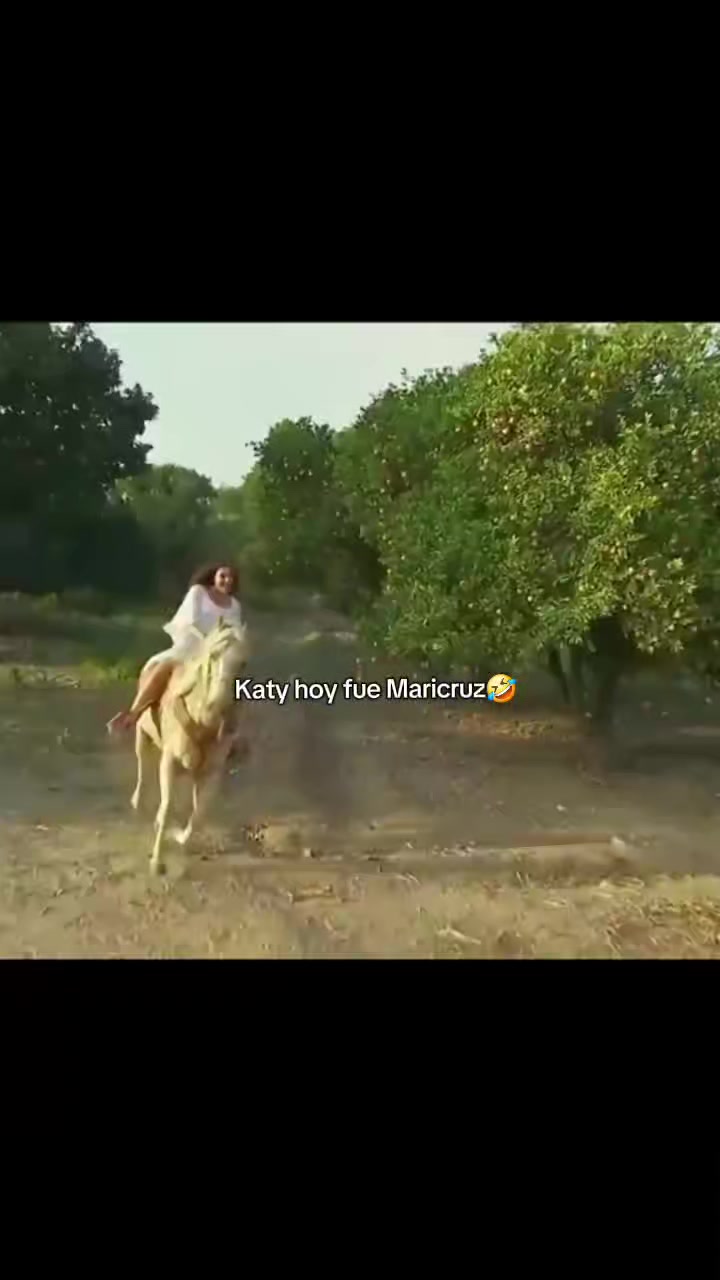 @Clips KatCar