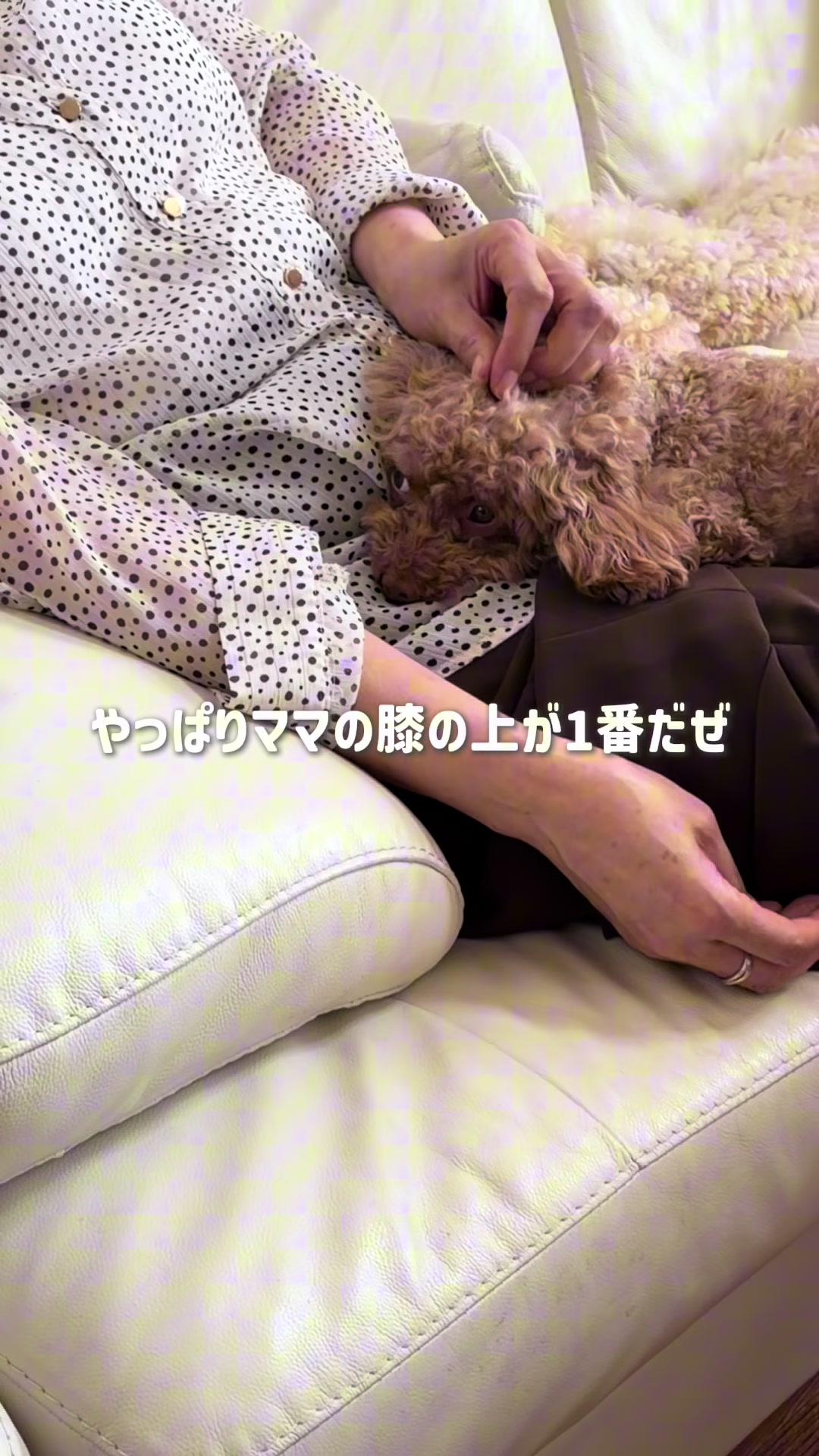 @るるもも