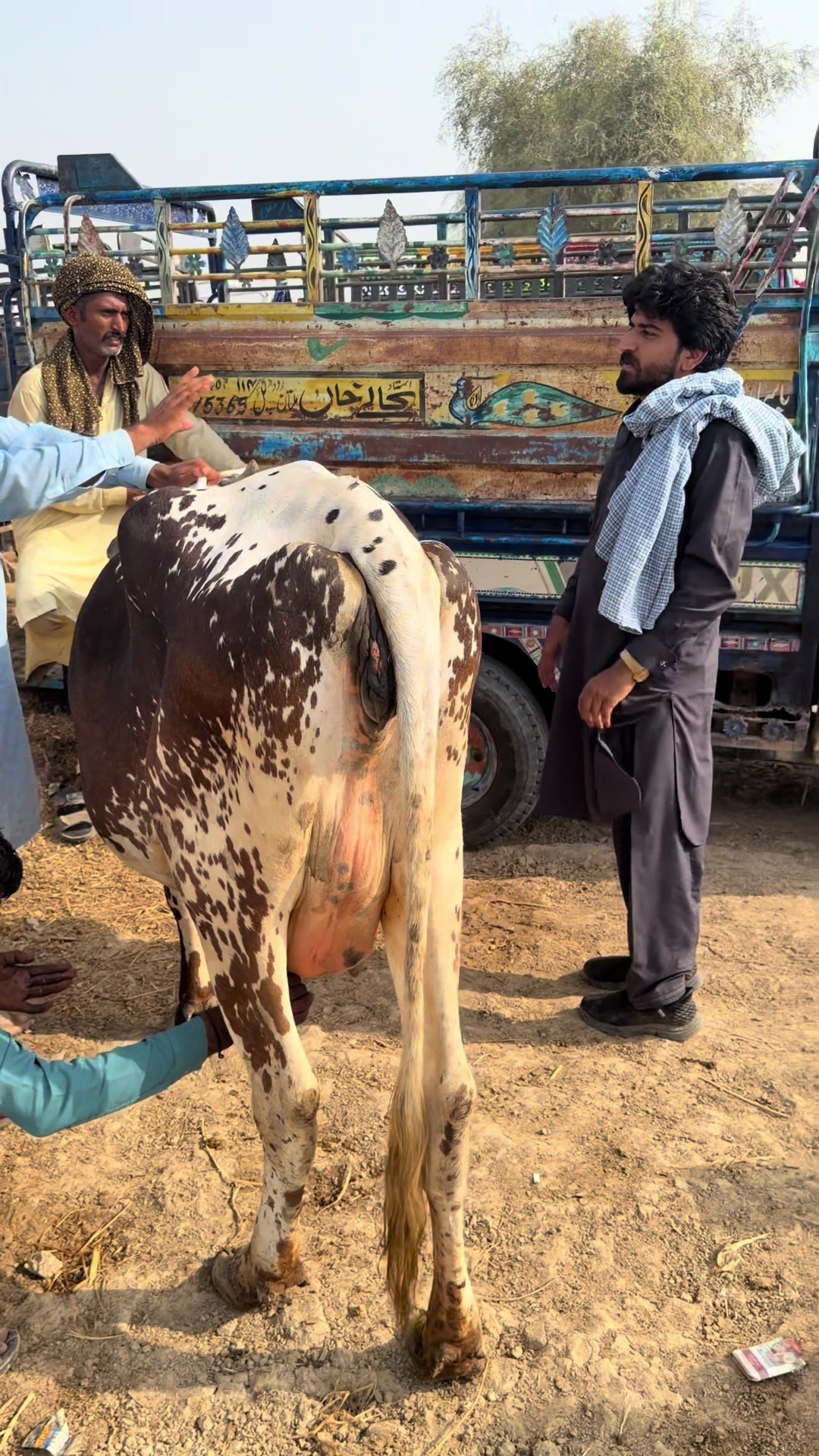 @ڈیرہ سیٹھ حسن شیخوپورہ