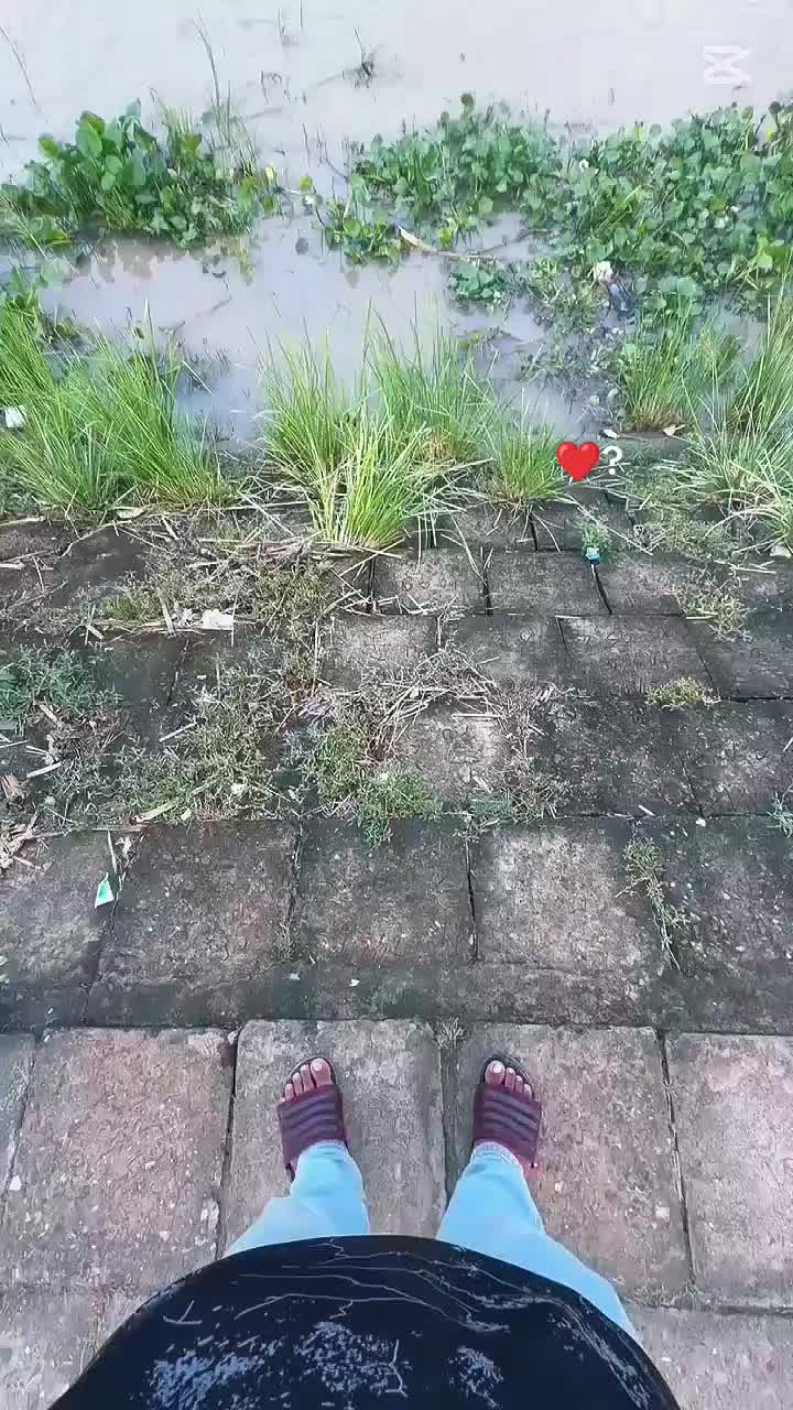 @SADHINđ¤