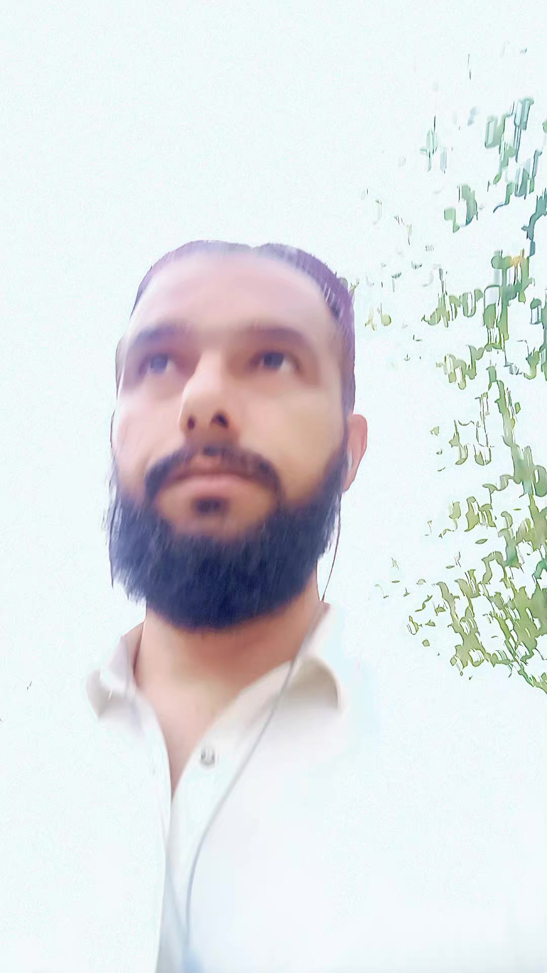 @innocent shinwari