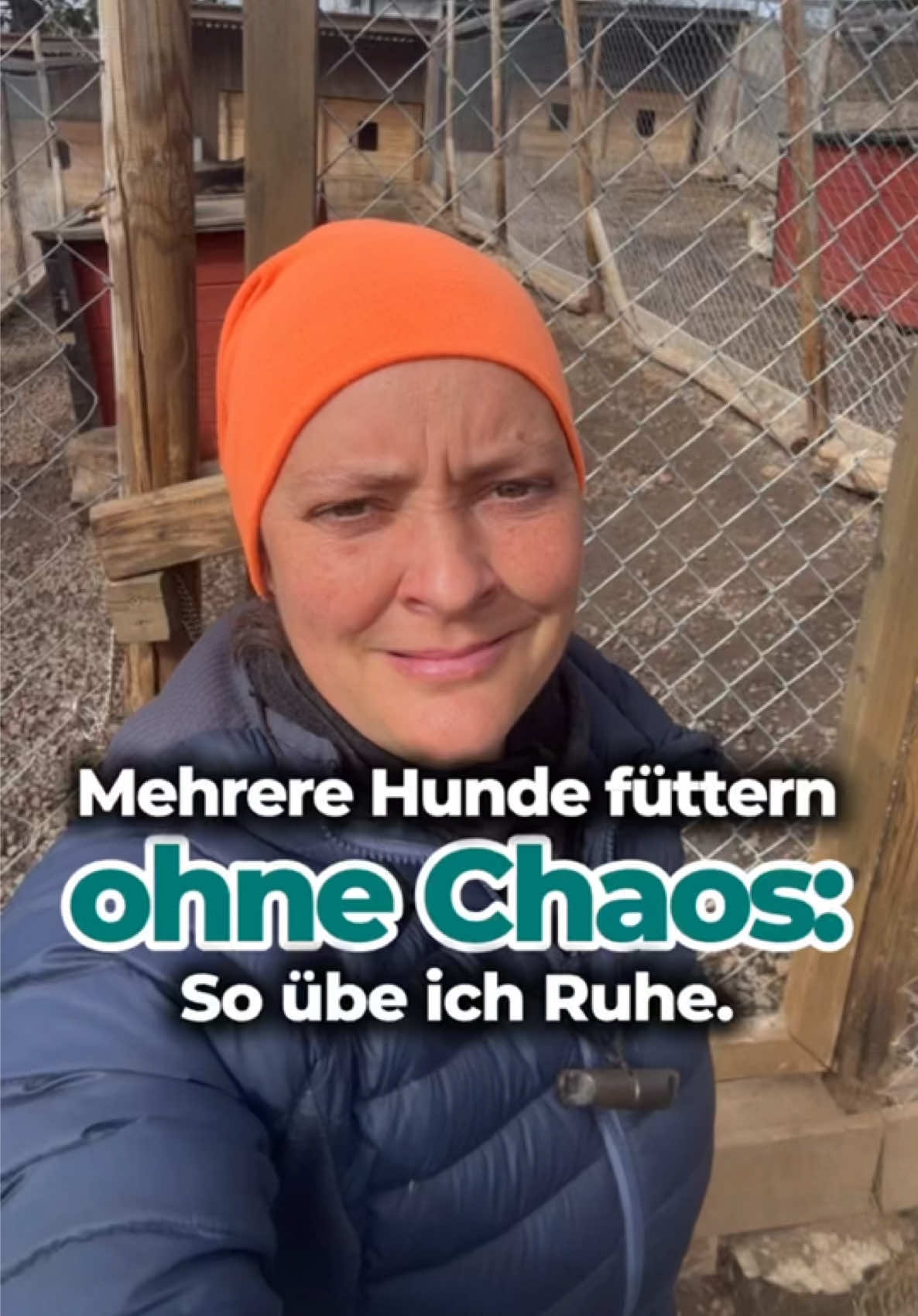 @Mehrere Hunde, ein Team!