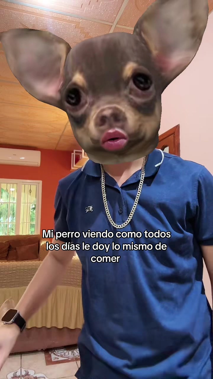 @Irvin MirandaGt🐊
