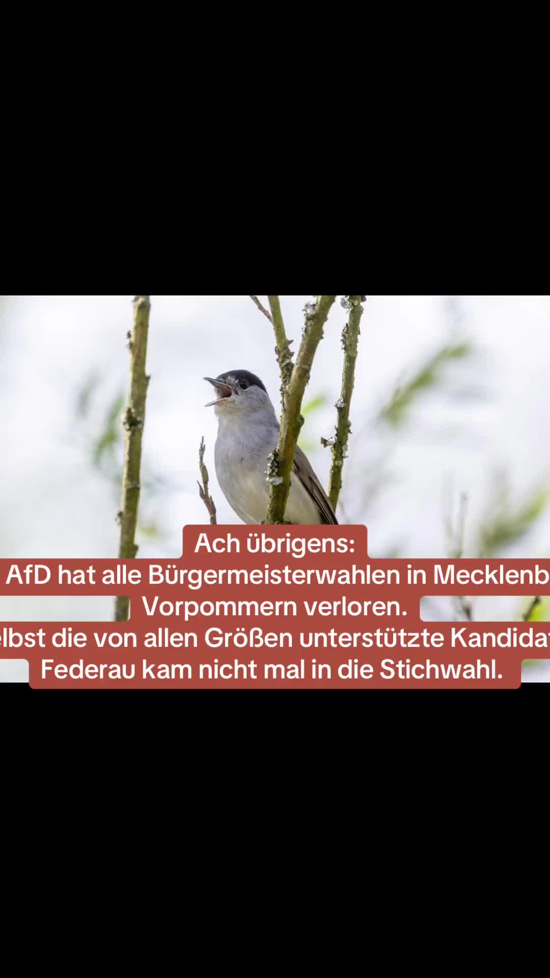 @Contra.AfD