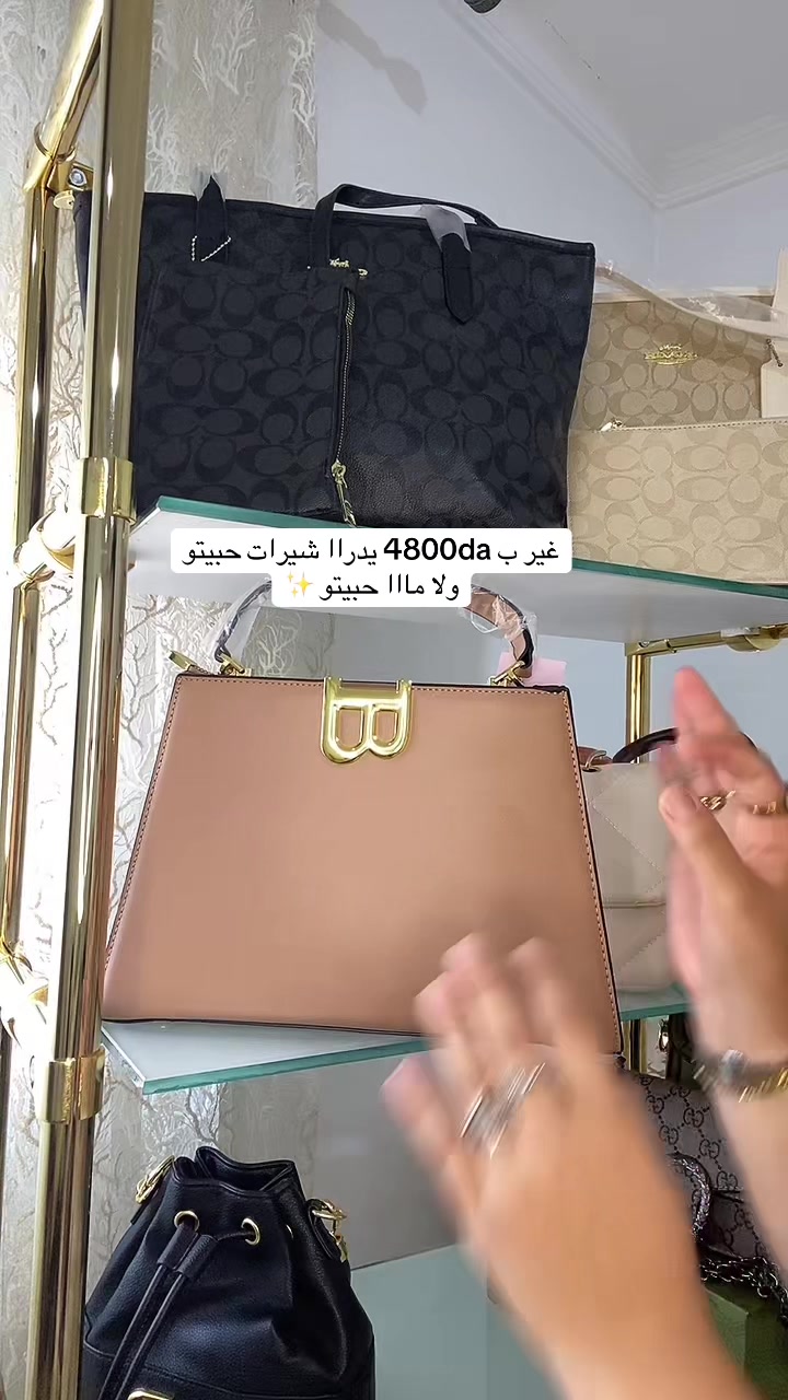 @✨Lilyan bag✨