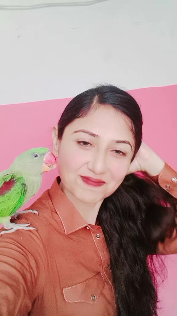 @shabnamkhan5000