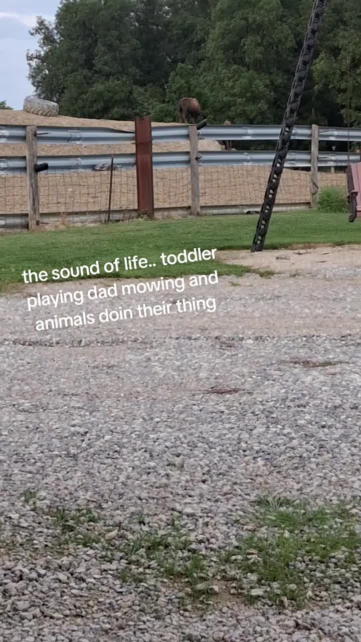 @Taylor | Sah{farm}m
