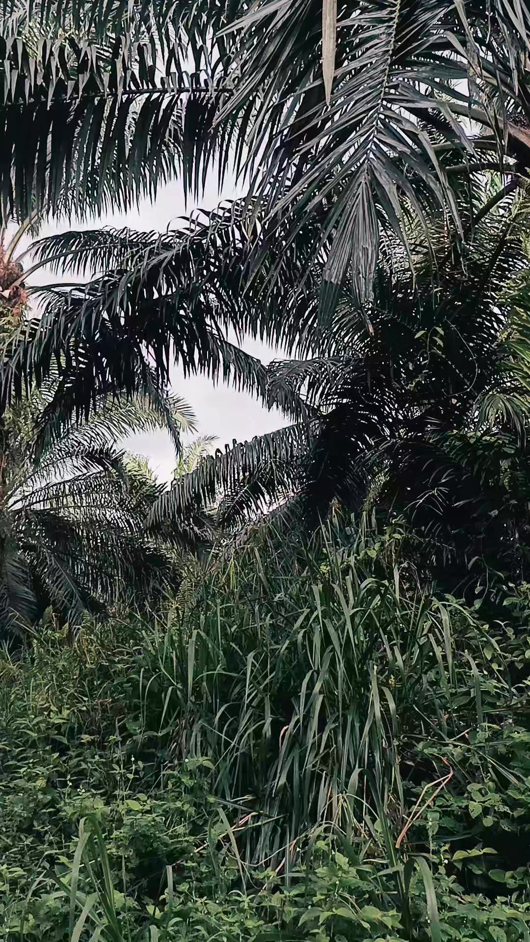 @27℅