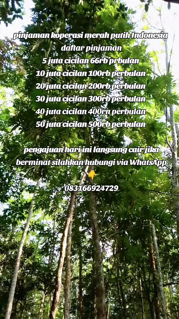 @KOPERASI Pinjaman Merah Putih