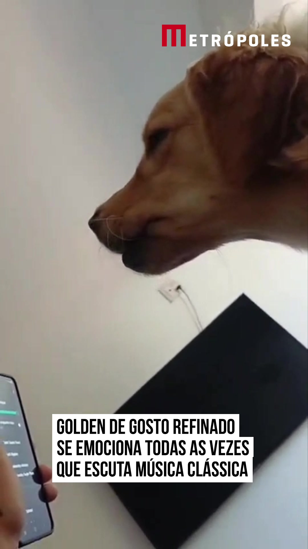 @Metr&oacute;poles Oficial