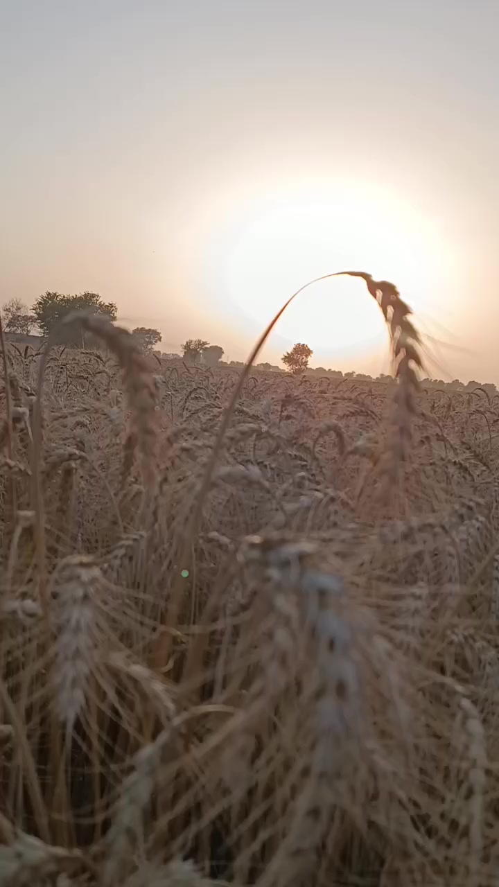 @Bablo RajPooT7172