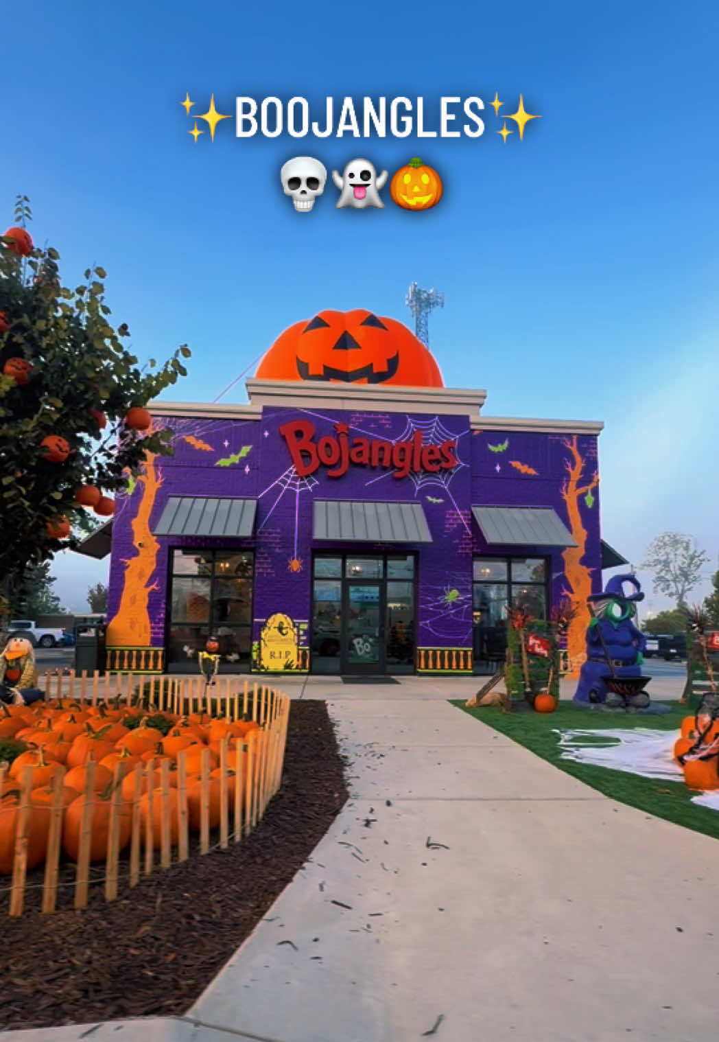 @CC ⚡️🖤