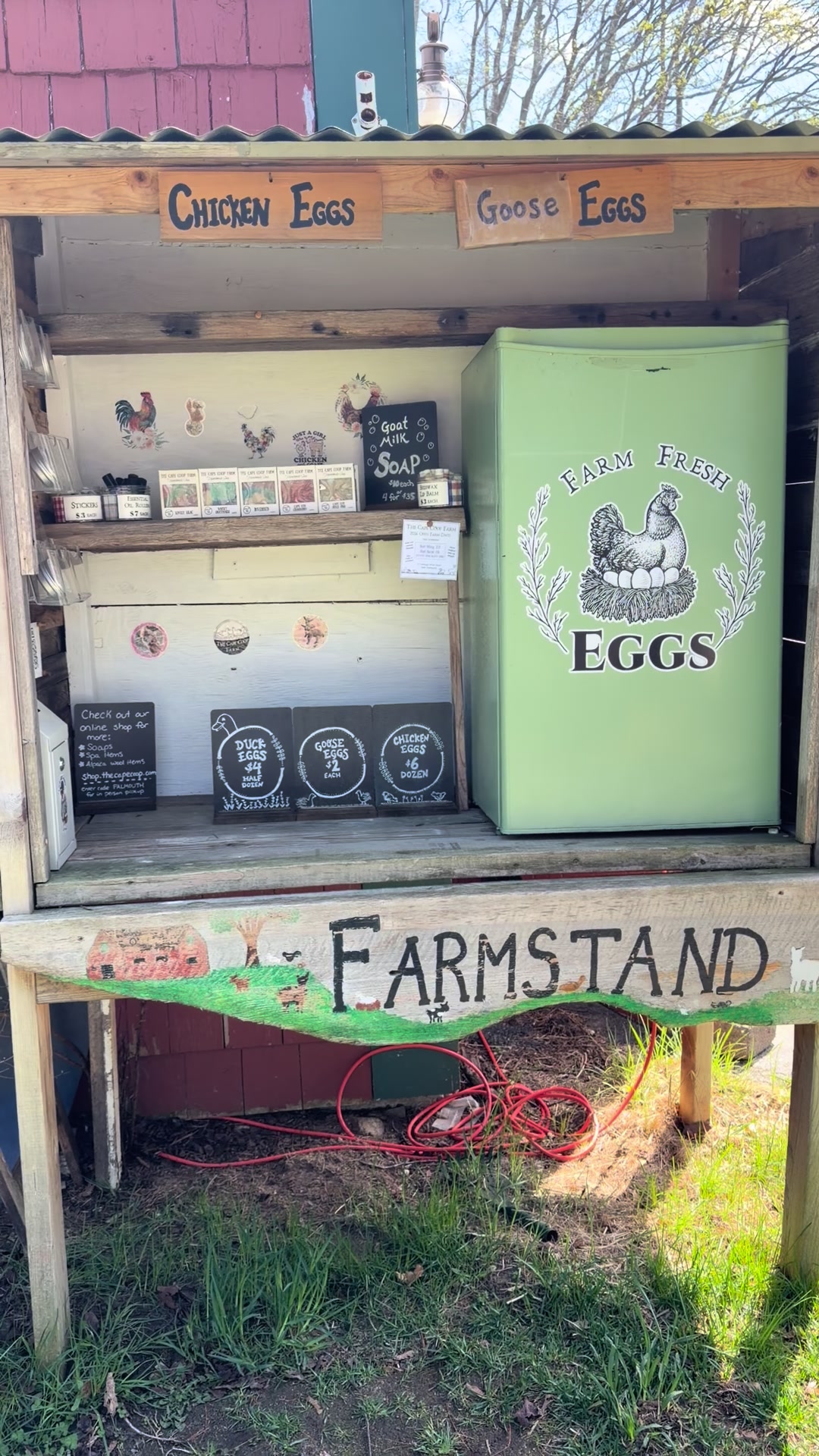 @The Cape Coop Farm