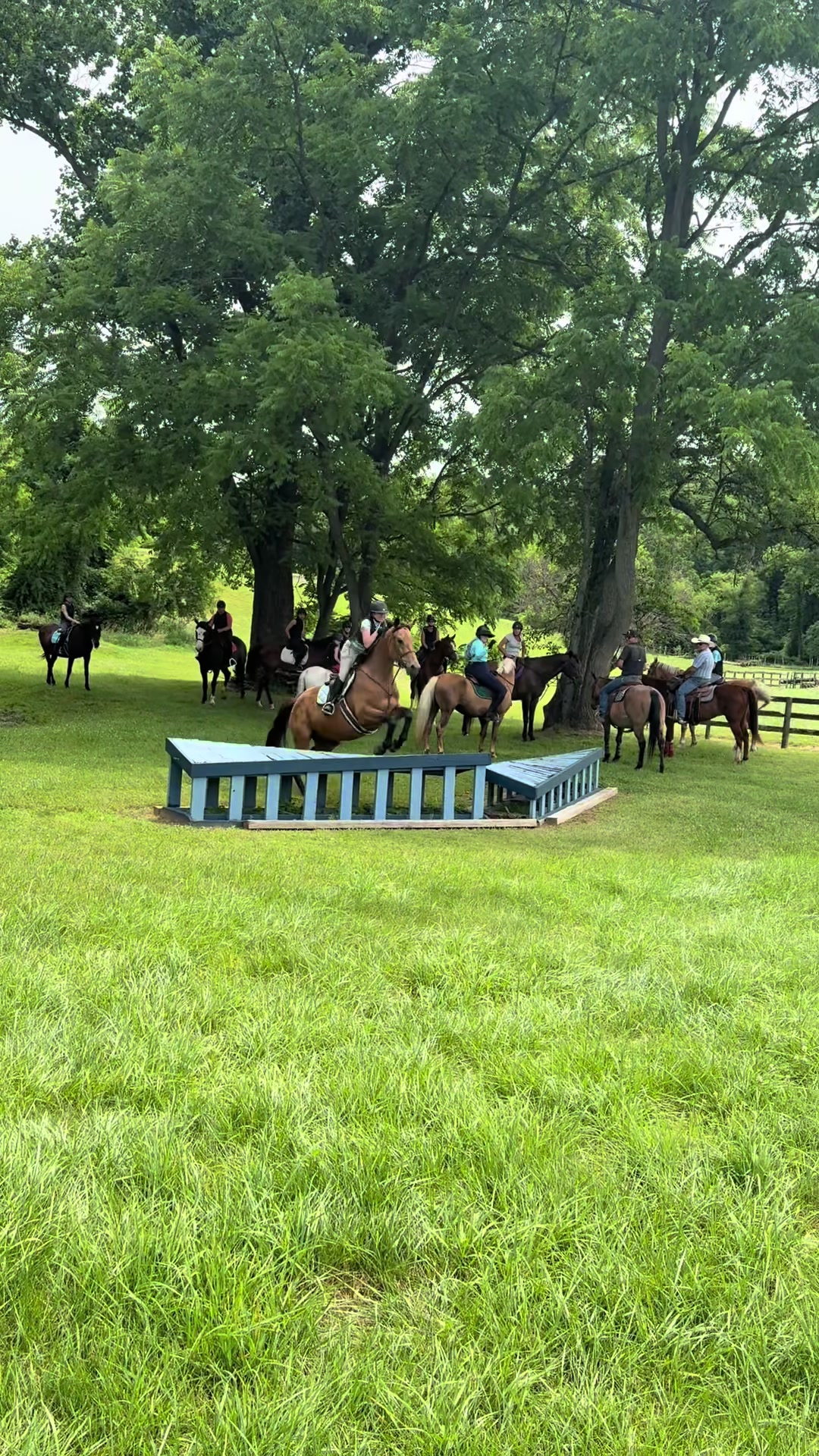 @Aftyn 🐎