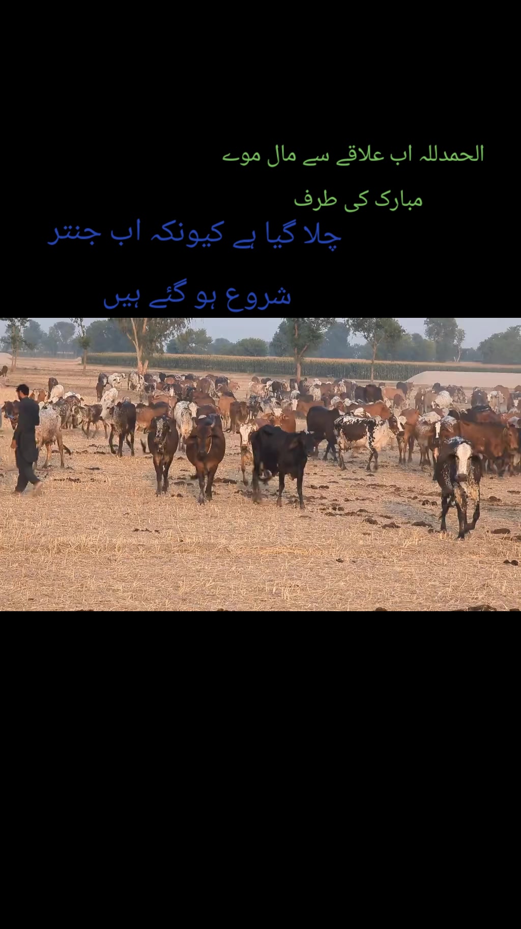 @Malik Muhammad Ahmad khokhar