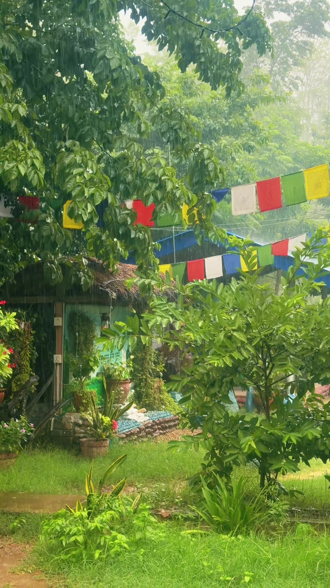 @Tharuvillagehomestayno14 Gavar