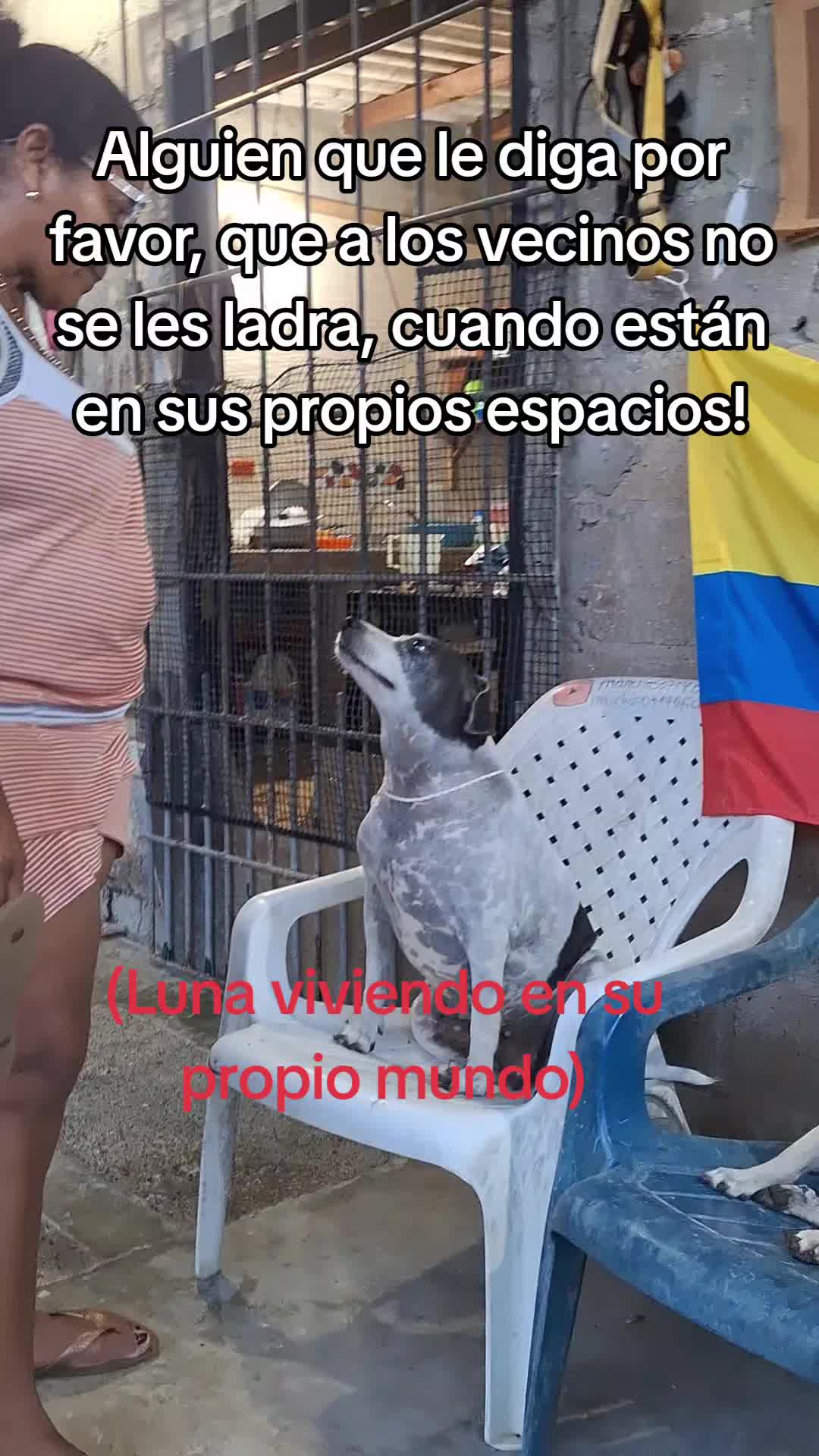 @MANCHAS 0714 OFICIAL