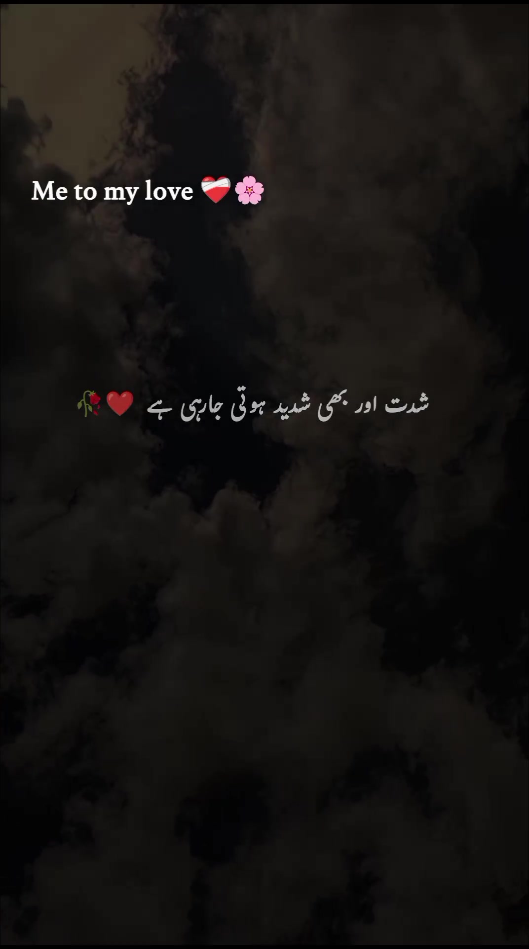@ﮩـﮩﮩ٨ـ🫀ﮩ٨ـﮩﮩ٨ـ