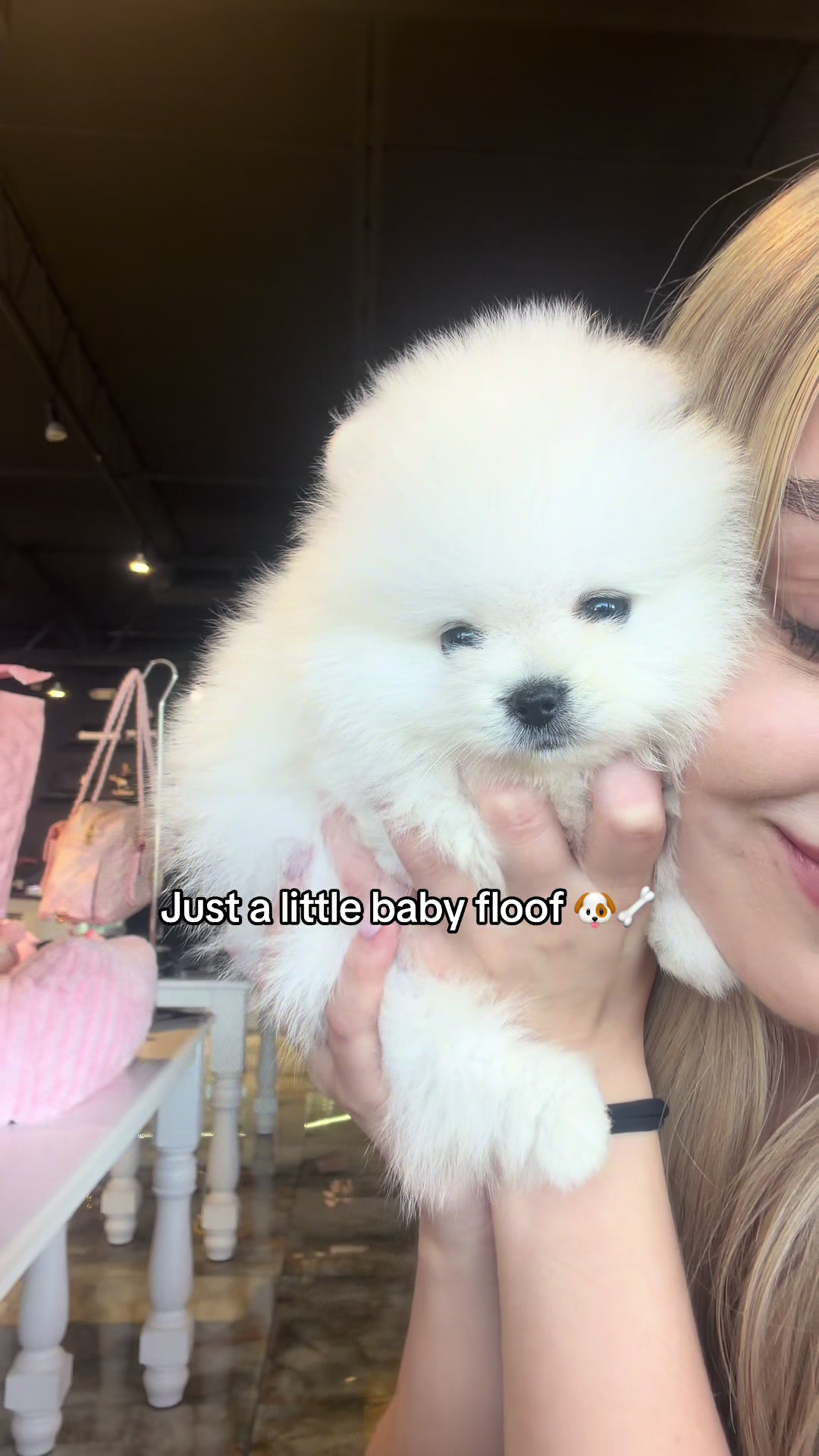 @TeaCups, Puppies & Boutique &reg;️